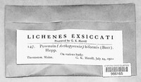 Image Associated With the Occurence
